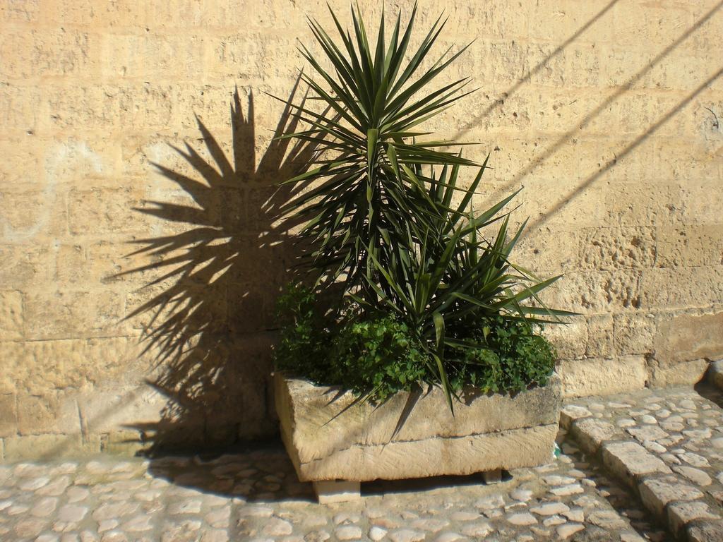 Casa Vacanza "Nel Cuore Dei Sassi" Apartments Matera Bagian luar foto